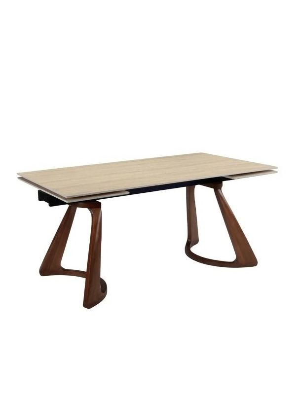 Delina 6-10 Seat Rectangle Extendable Dining Table 