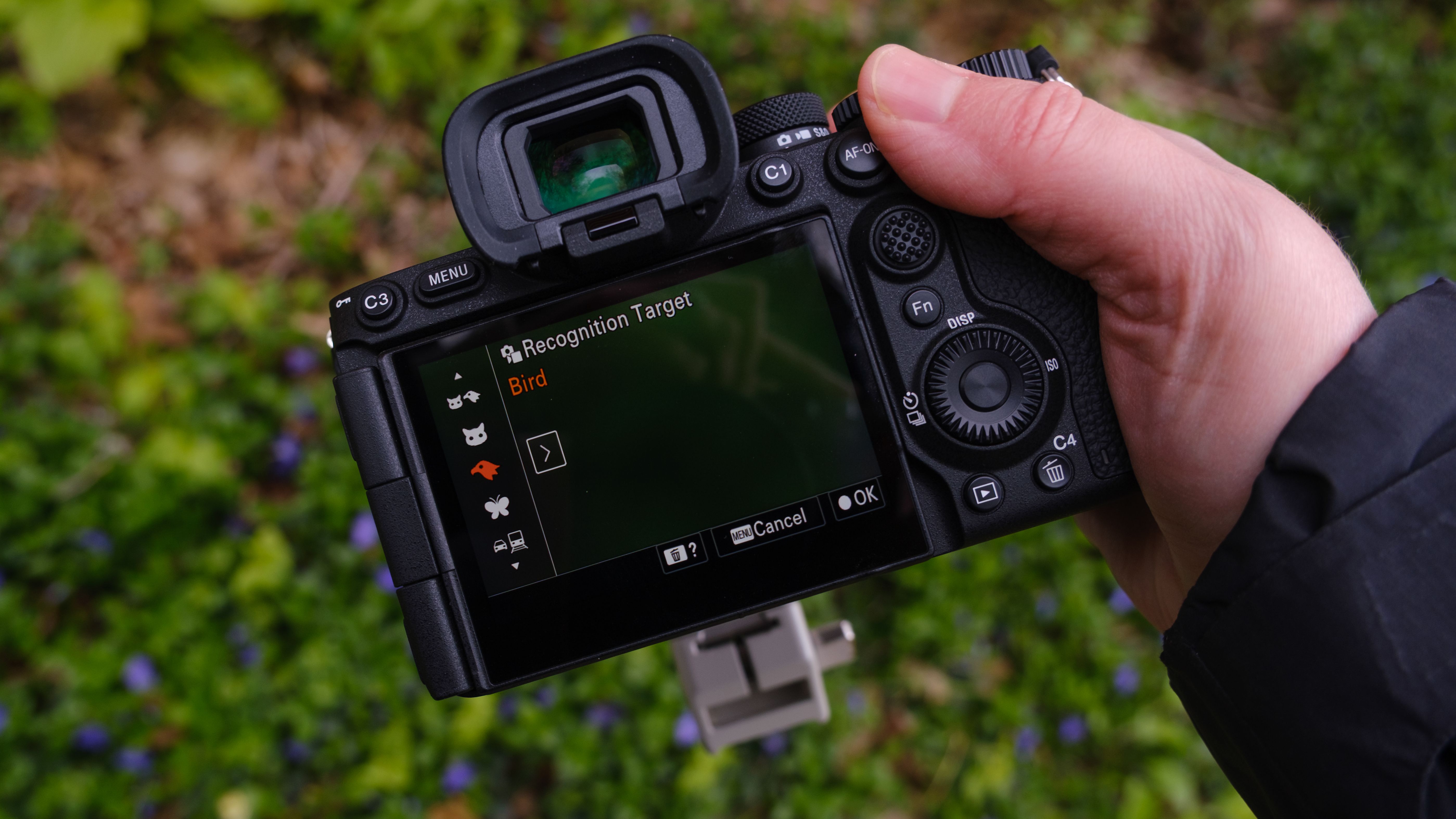 The Sony A7R VI photographed outdoors