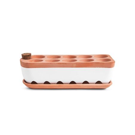 Terracotta Seed Starting Tray 