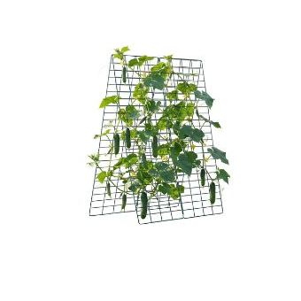 Foldable A-Frame Trellis