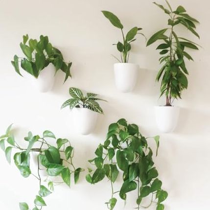 Make Good Plantpod Luxe - Self-Watering Wall Planters (set of 6) - Easy to Water and Install - Lightweight - Design Your Own Vertical Garden - Wall Planters for Indoor Plants