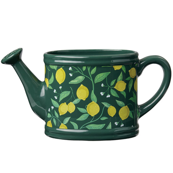 Belavi Dark Green Watering Can from Aldi's new gardening range
