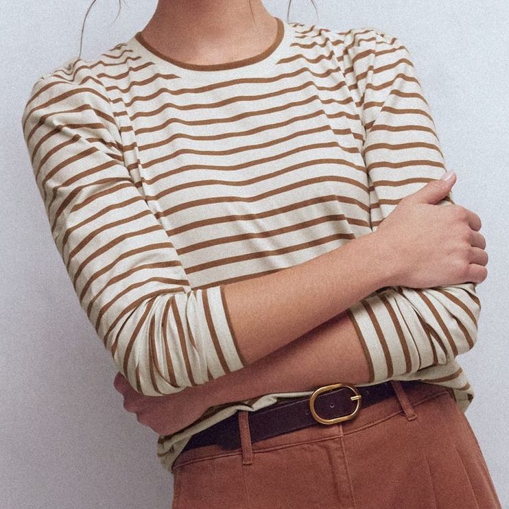 Pleat Sleeve Stripe Top-Ginger and Ivory Stripe