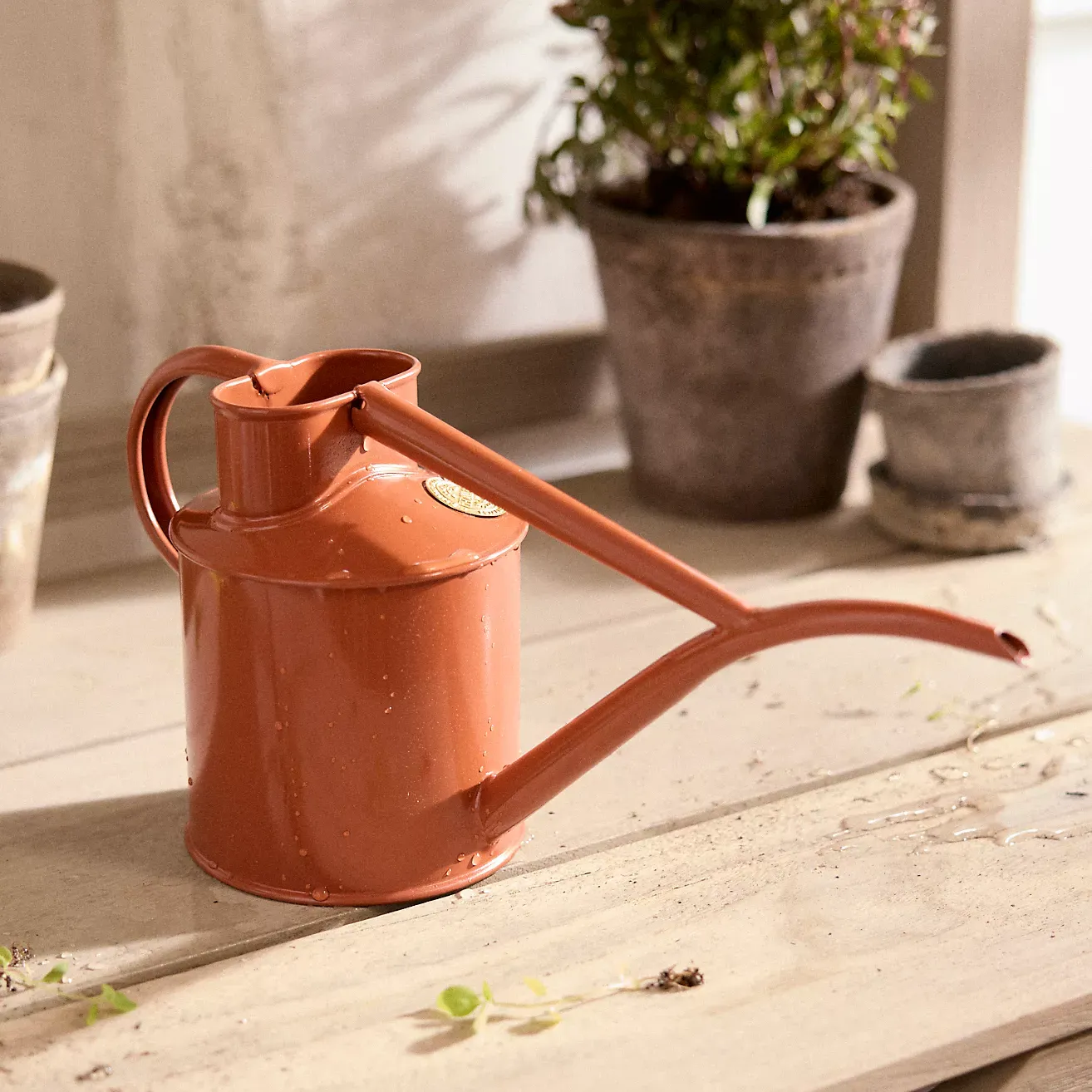 Haws Fazeley Flow 1 Liter Watering Can