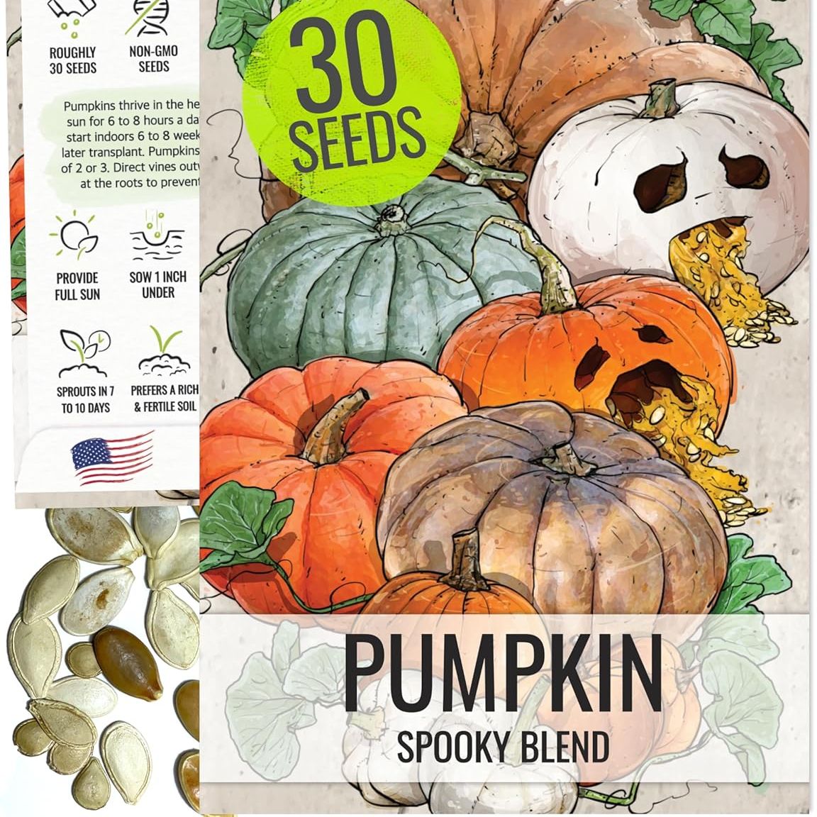 Seed Needs Pumpkin Seeds for Planting Spooky Blend - 30 Premium Heirloom Seeds (lumina White, Jack O Lantern, Baby Boo, Blue Jarrahdale, Cinderella &amp;amp; More!) Non-Gmo &amp;amp; Untreated (1 Small Pack)