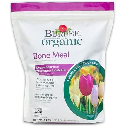 Burpee Bone Meal Fertilizer | Add to Potting Soil | Strong Root Development | Omri Listed for Organic Gardening | for Tomatoes, Peppers, and Bulbs, 1-Pack, 3 Lb (1 Pack)