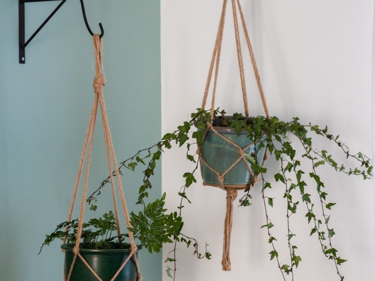 Easy Macram Planter - Simple DIY Macram Hangers For Houseplants |  Gardening Know How