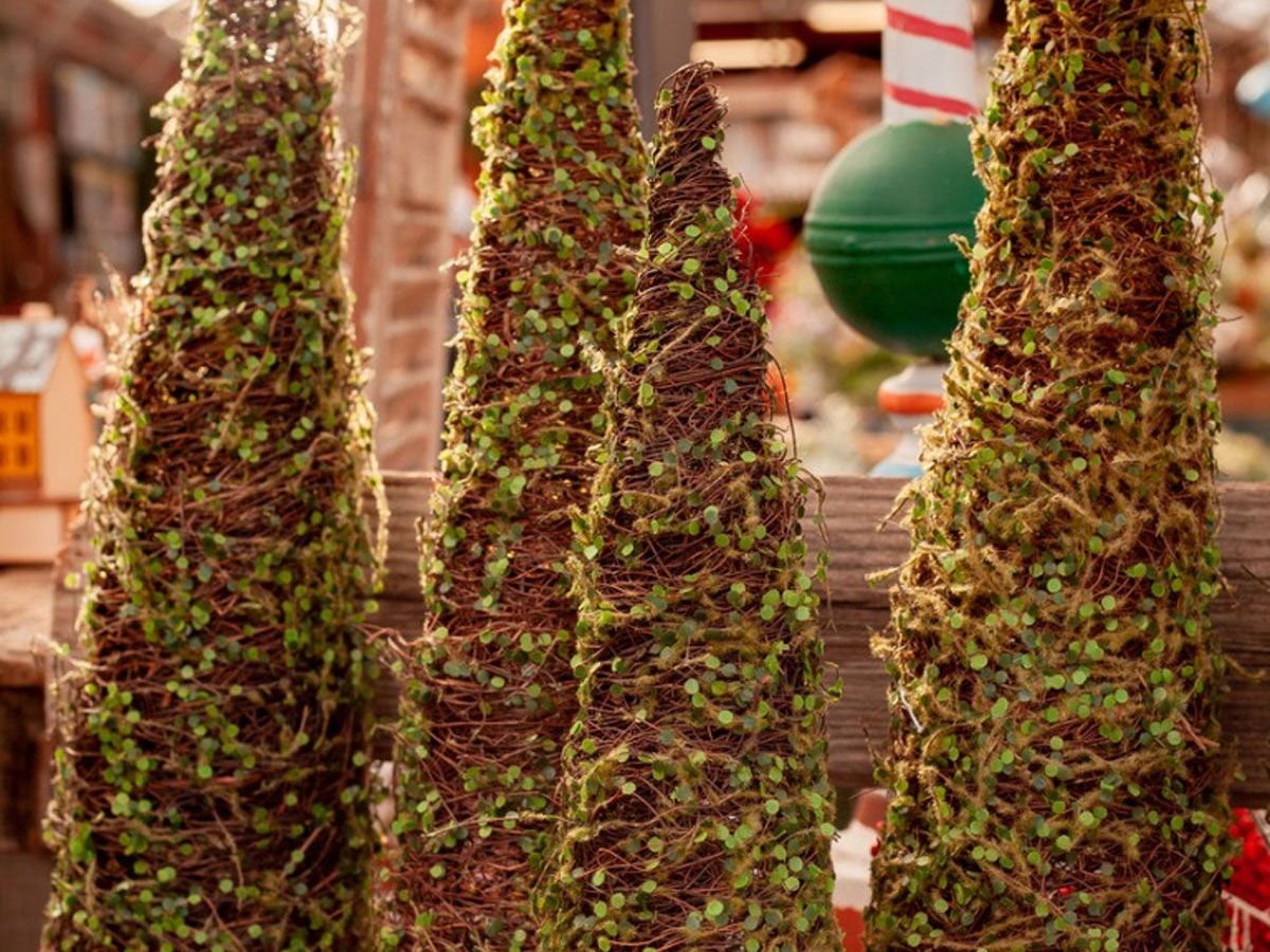 Christmas Topiary Trees – Tips For Making A Christmas Topiary | Gardening Know How