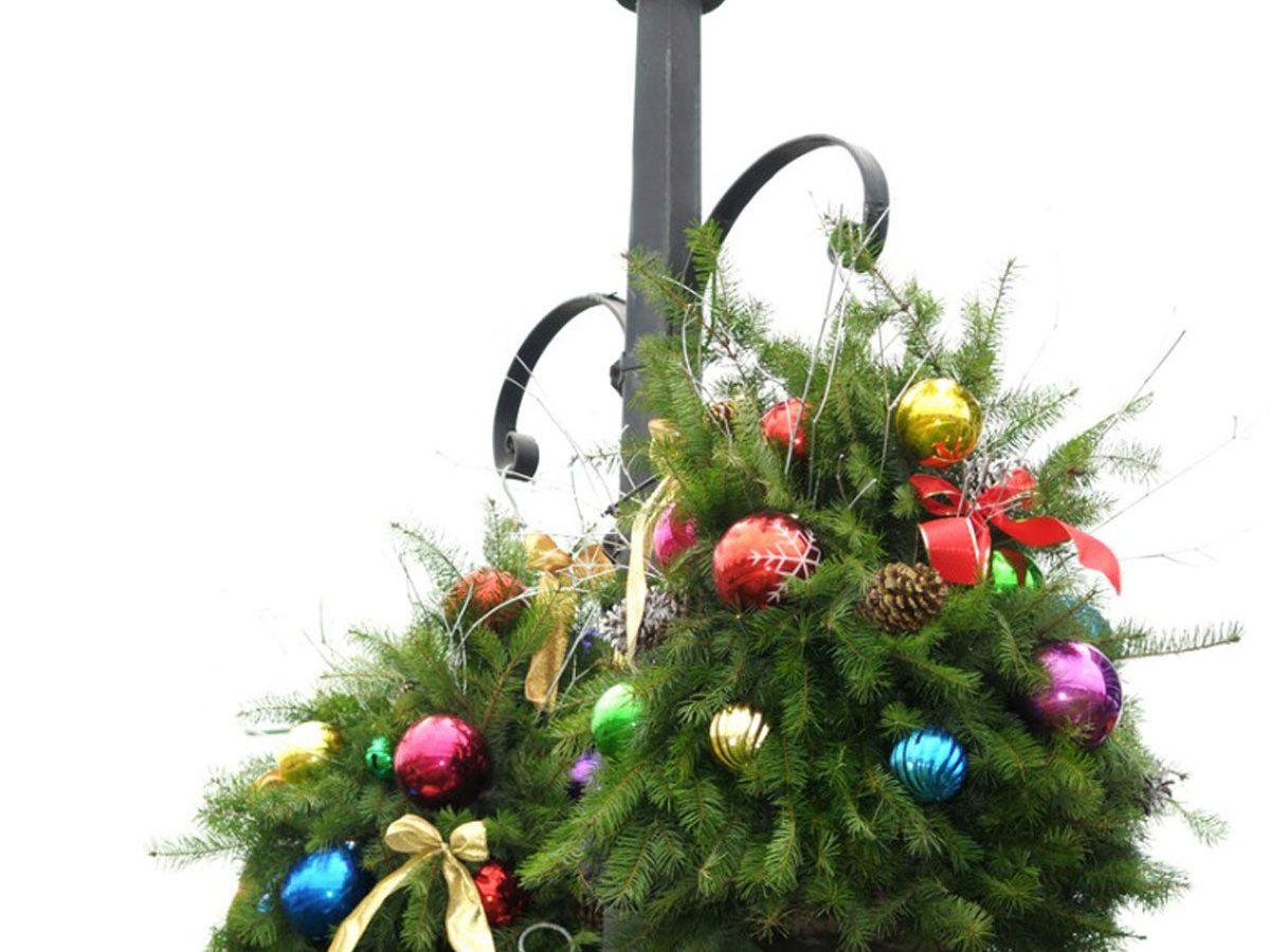 DIY Hanging Baskets  Hanging Basket Holiday Decorations | Gardening Know  How