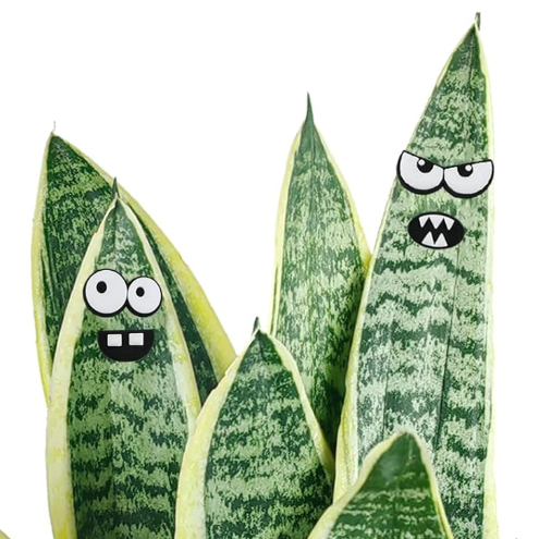 Homdsg Magnet Eyes for Potted Plants