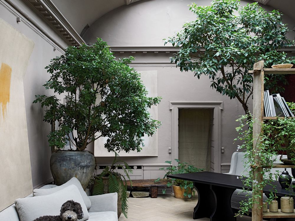 How to bring the outdoors in: 23 fun and modern ways |