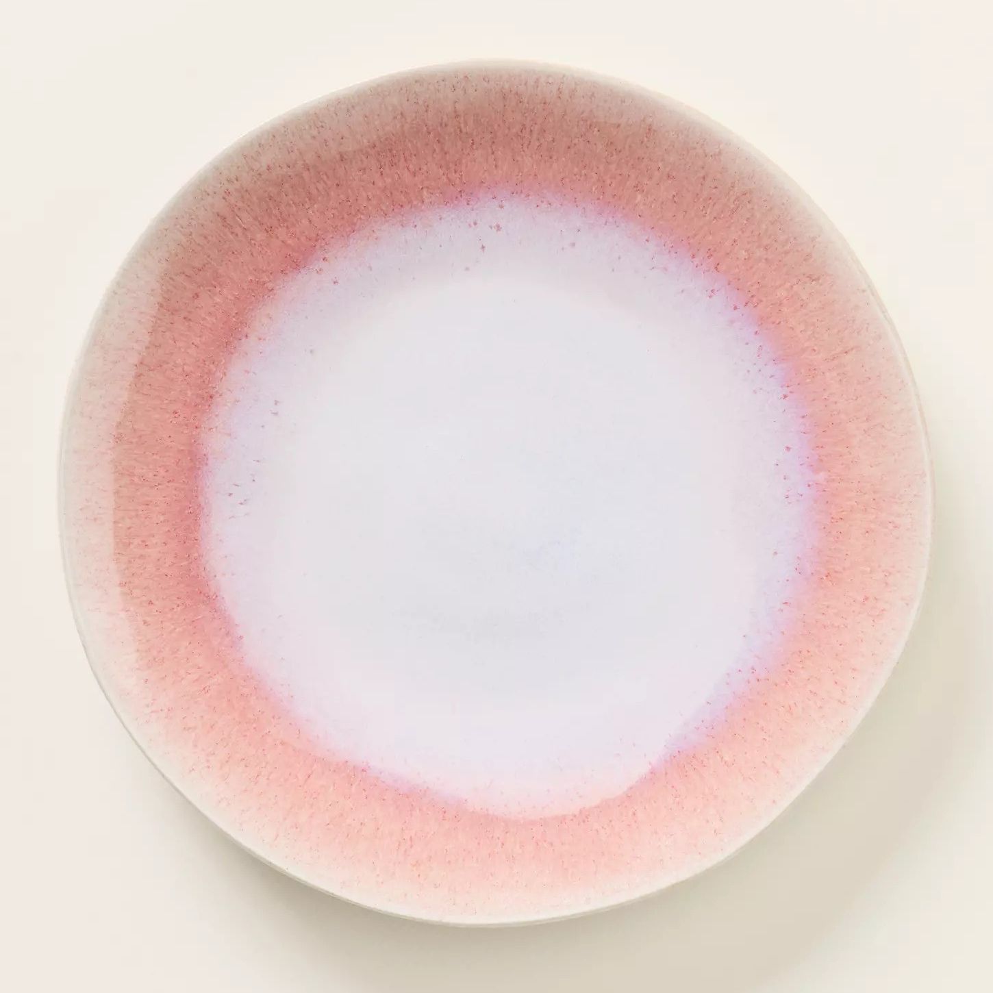 Anthropologie, Jasper Portuguese Reactive Stoneware Dinner Plates, Set of 4