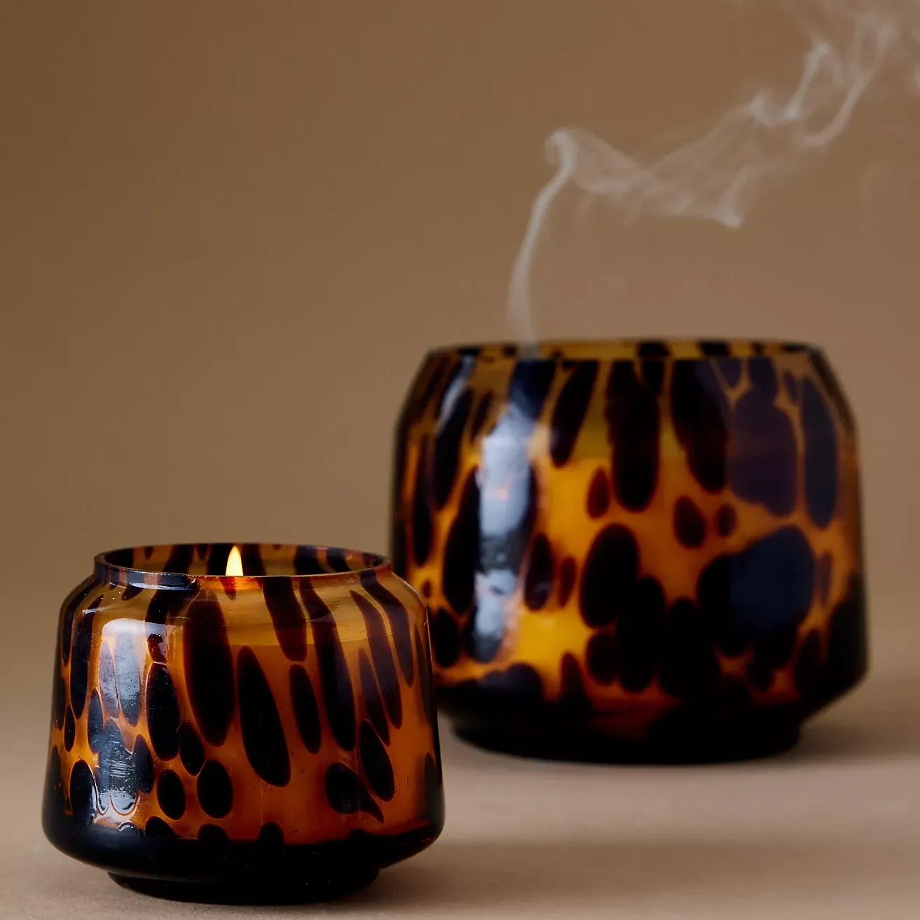 The Gather Candle by Anthropologie: Cheena Fern Moss