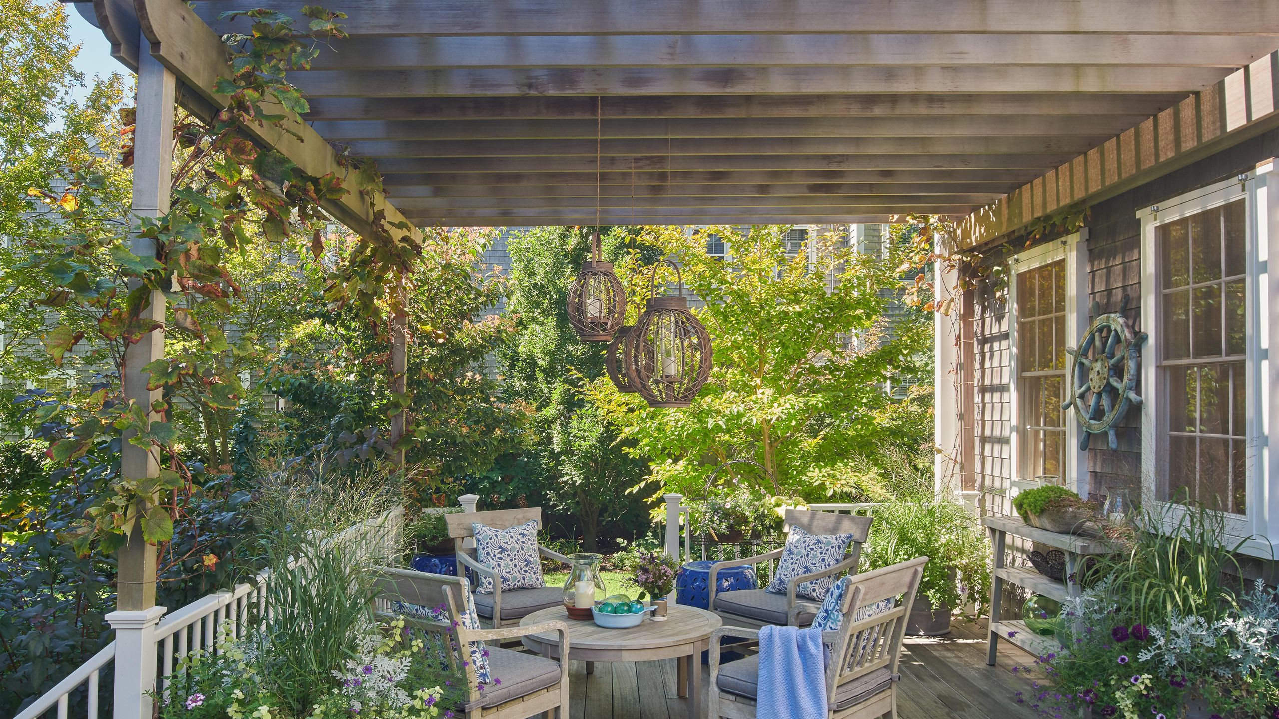 Patio Plants for Privacy  For Elegant Screening in Your Yard | Livingetc
