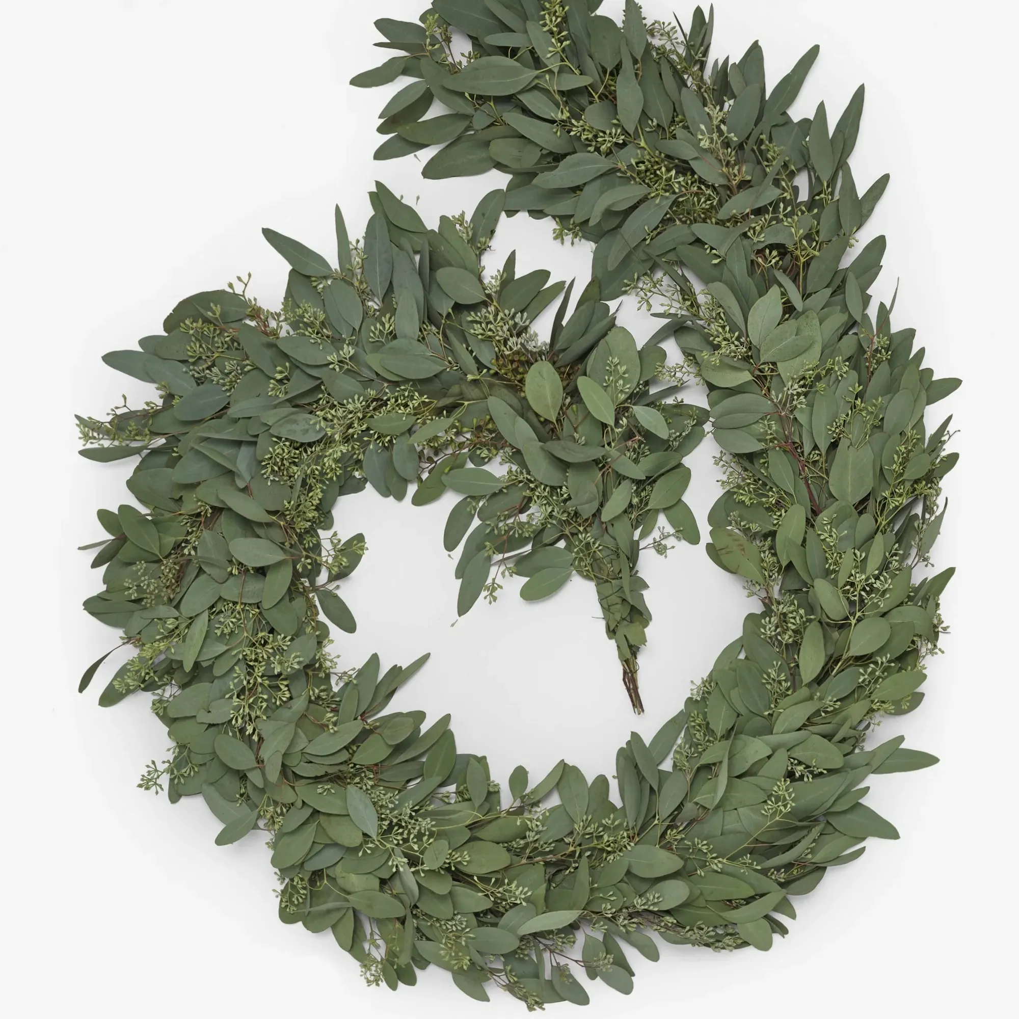 Lulu and Georgia, Fresh Handmade Seeded Eucalyptus Garland