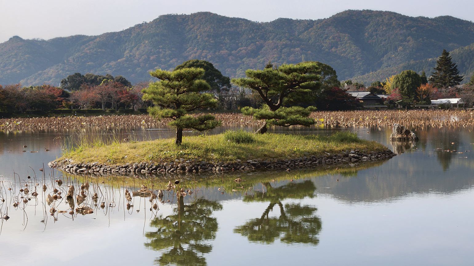 The Japanese Garden phaidon book | Wallpaper*