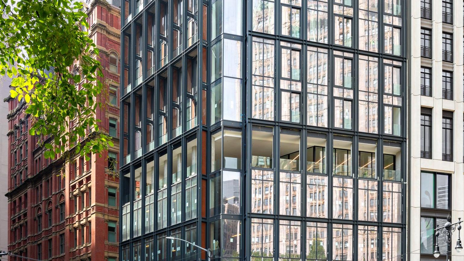 The Architect's Brother: Parkeharrison, Robert, Harrison