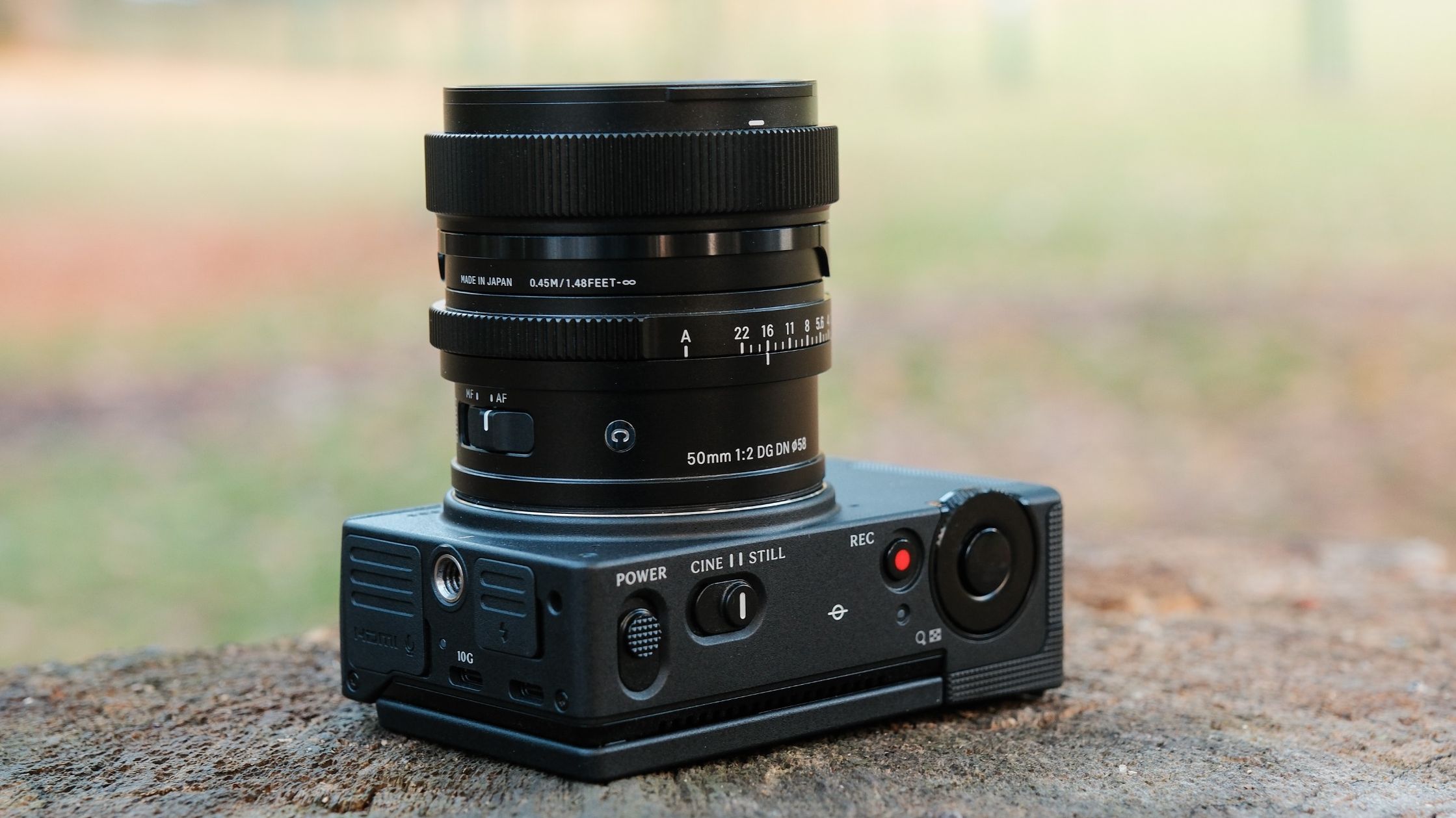 Sigma FP2 fitted with a 50mm lens and photographed from the front on a tree stump.