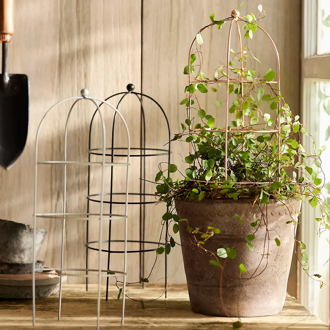 Domed Cylinder Iron Mini Trellis