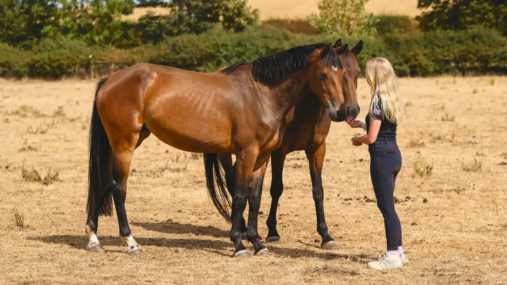 Cerys Macaulay in field with two young bay horses