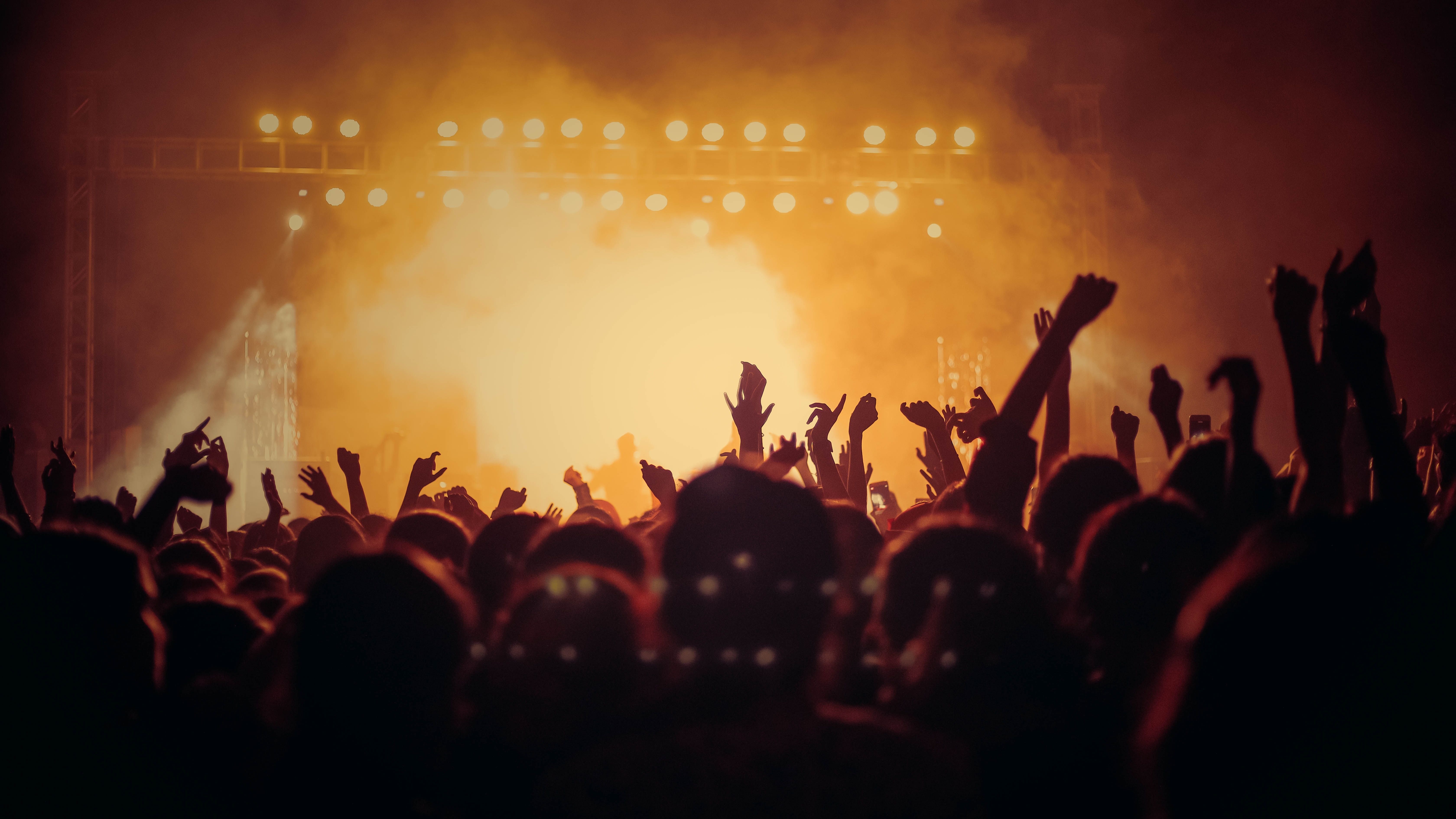 People at a concert