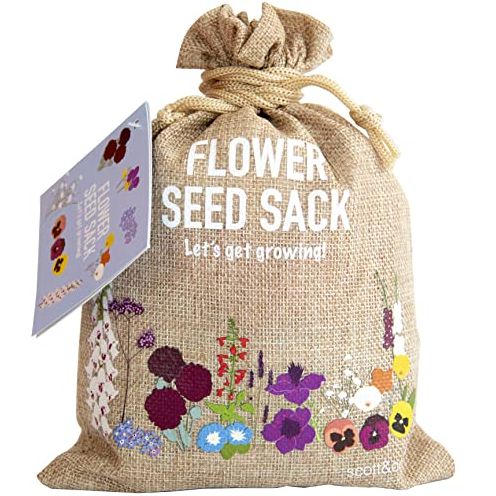 Scott&amp;amp;co. Flower Seed Variety Pack - 30 Different Varieties of Flower Seeds to Grow Your Own. Butterfly and Bee Attracting, Grow Indoor and Outdoor. Father's Day Gardening Gifts for Women and Men.