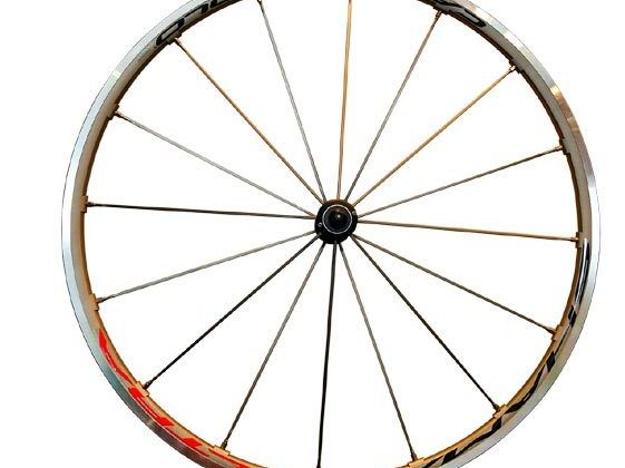 パーツ CAMPAGNOLO SHAMAL ULTRA DISC Campagnolo shamal ultra c15 cl shimano 11s freehub wheelset