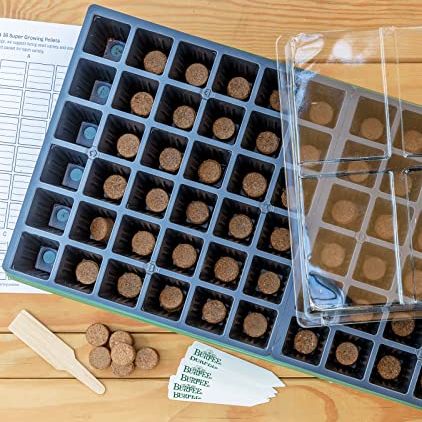 Burpee Greenhouse Indoor Starting Herbs, Flowers and Vegetables | Includes Dome, Watering, Seed Starter Tray, Coir Pellets | 10" W X 20" L X 5" H, One Size, 1 Kit (72 Cells)