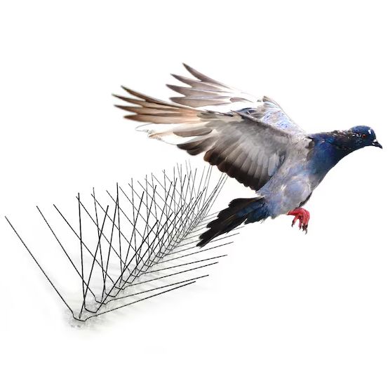 Bird-X Bird Spikes Bird Repellent