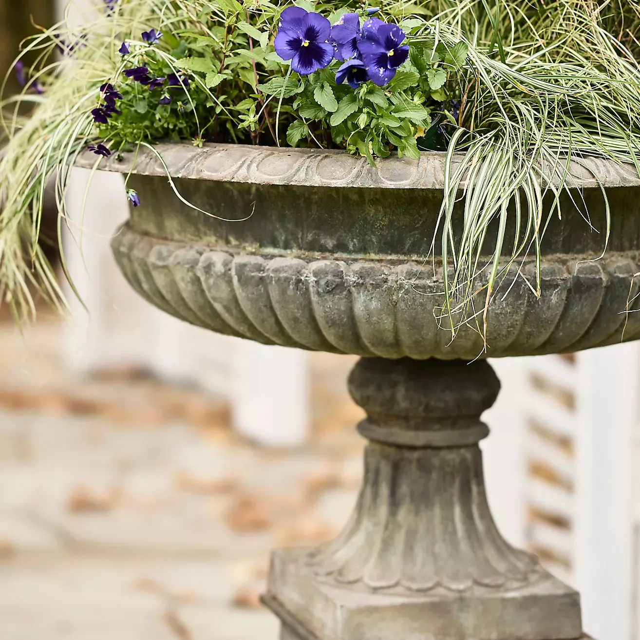 Cast Iron Urn Planter