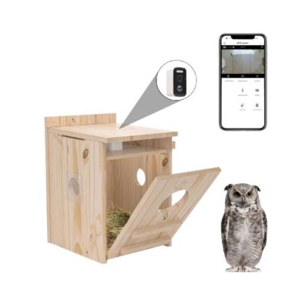 Owl House with Camera