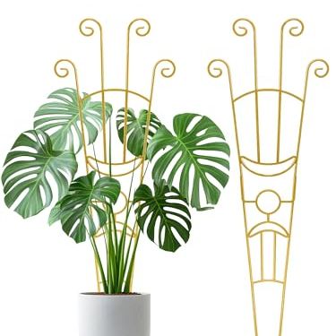 2pcs Large Metal Trellis for Potted Plants Indoor, 33 Inch Tall Expandable Garden Trellis for Climbing Plants, Houseplant Support for Monstera, Ivy, Hoya Flower Outdoor (gold)