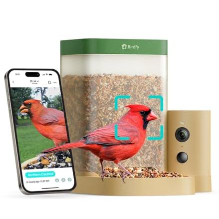 Birdfy Smart Bird Feeder With Camera for Beginners, Rookie Lifetime Ai