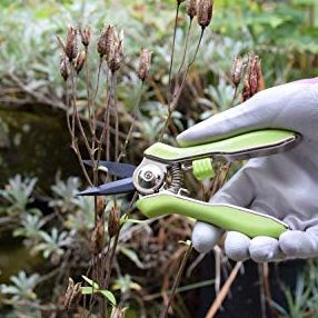 Spear &amp;amp; Jackson 56418g Green Garden Snips