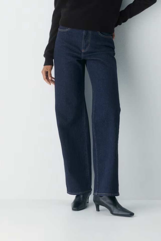Aritzia , Remy Hi-Rise Wide Jean
