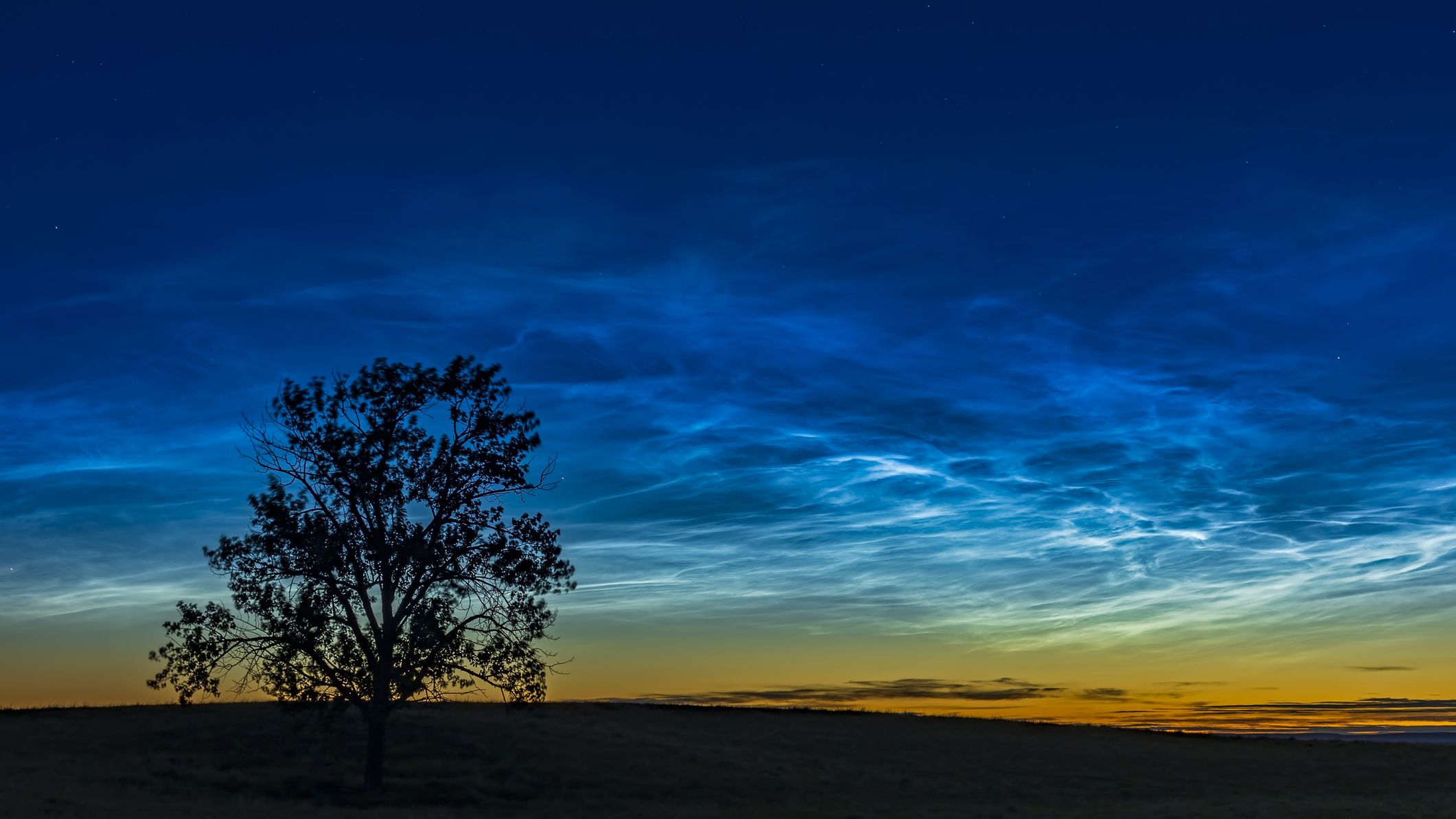 These rare glowing ‘space clouds’ are summer’s best-kept skywatching secret These rare glowing ‘space clouds’ are summer’s best-kept skywatching secret