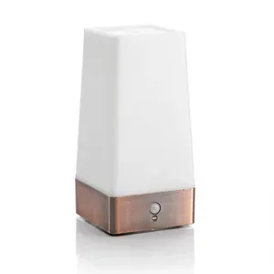 Auraglow Wireless Pir Motion Sensor Hallway Night Light