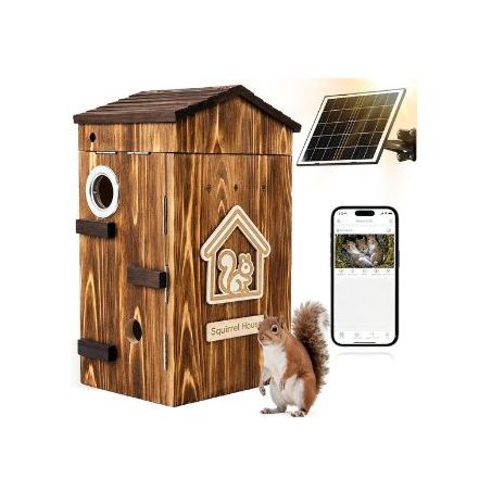 Squirrel Box with Camera 