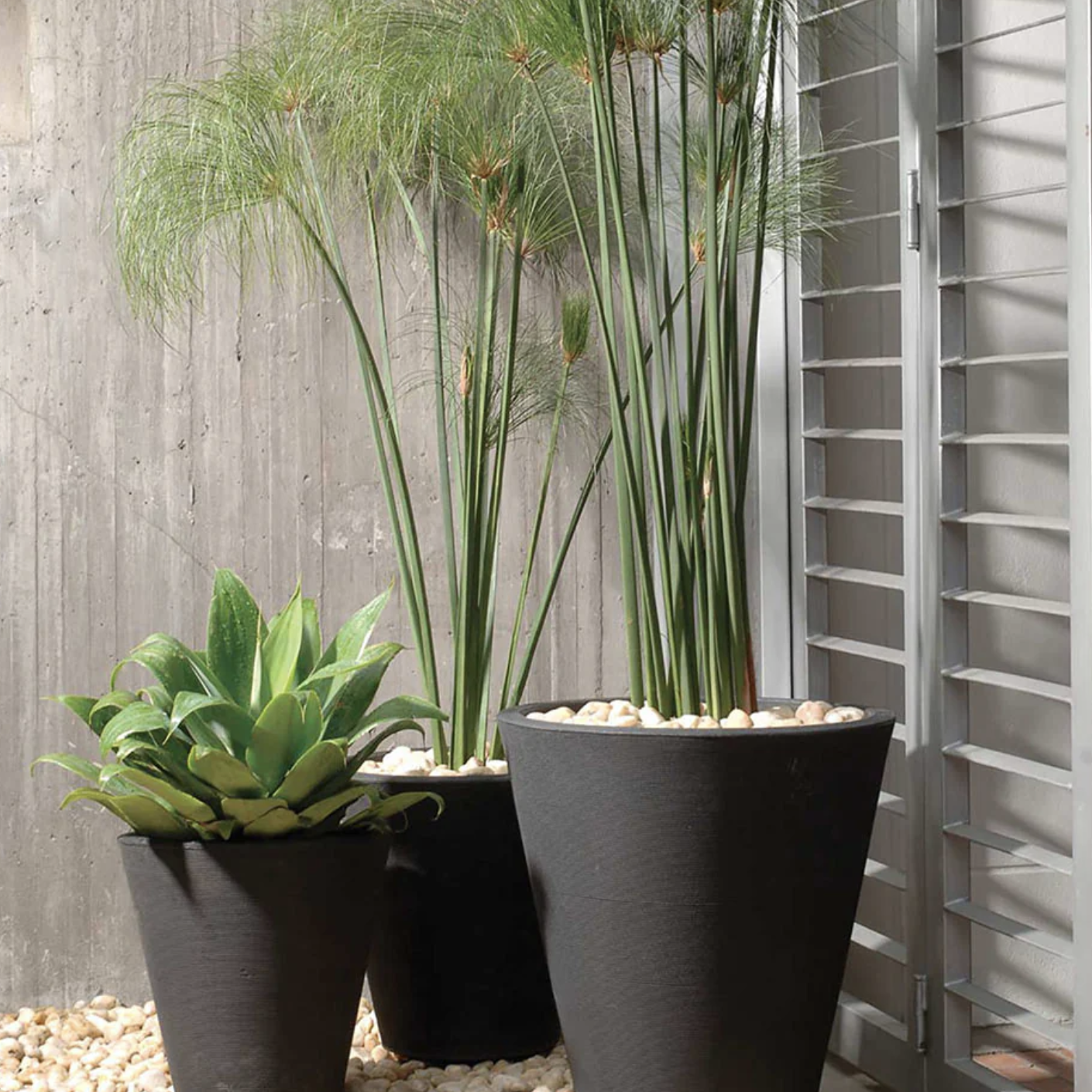 Crescent Garden, Madison Planter