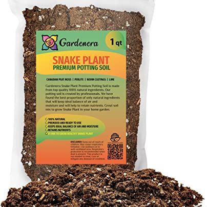 Gardenera Premium Snake Plant Potting Soil Mix, Green Sansevieria Trifascatia Zeylanica Plants, Plant or Re-Pot Your Snake Plant - (1 Quart Bag)