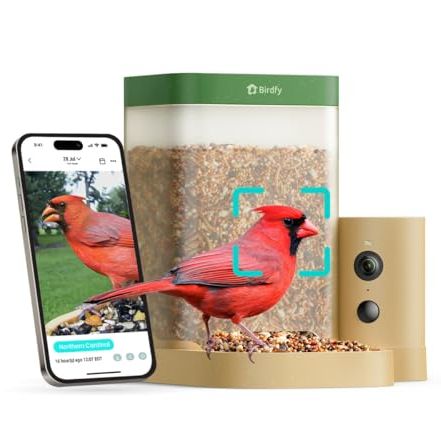 Birdfy Smart Bird Feeder With Camera for Beginners, Rookie Lifetime Ai