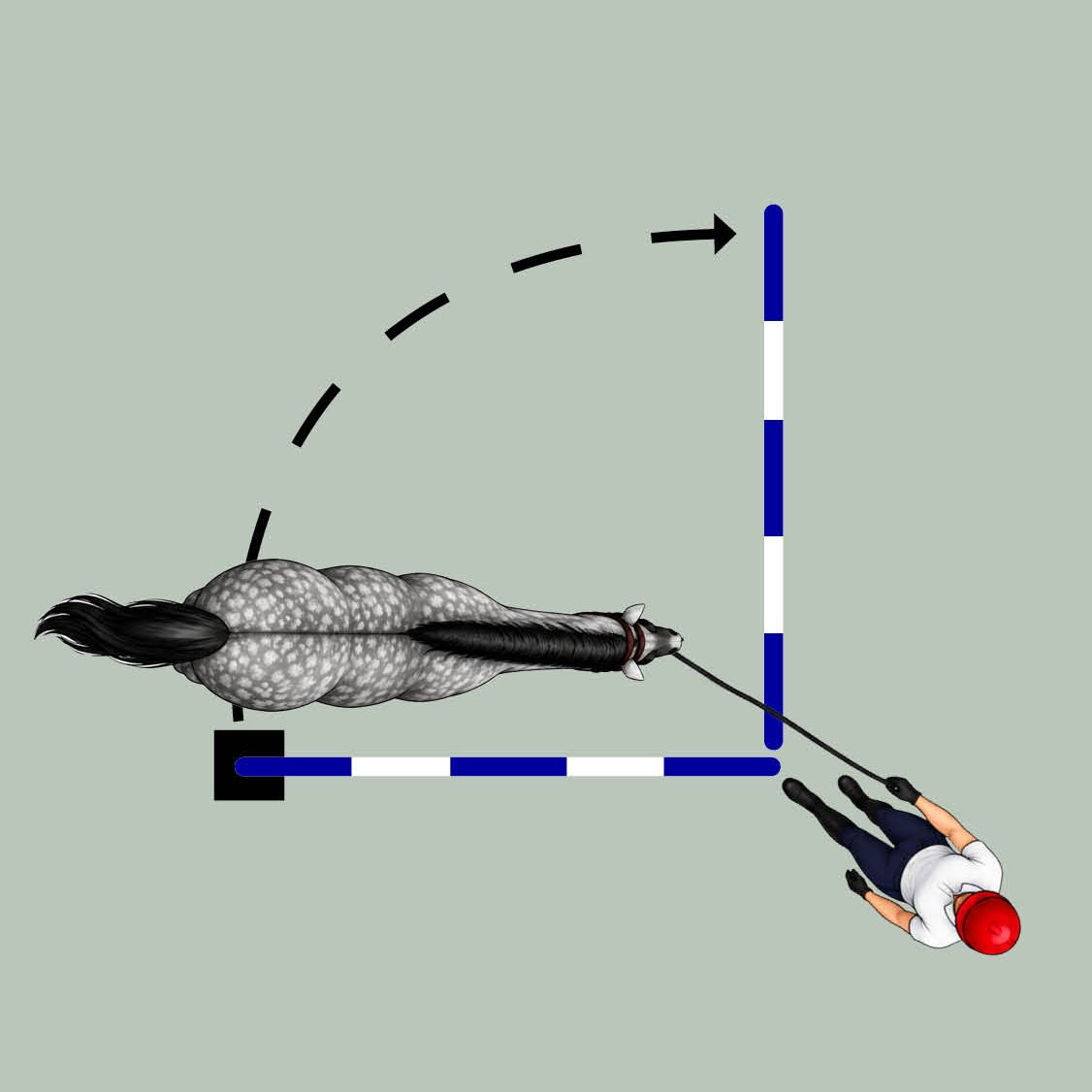 Three groundwork training exercises for horses in a diagram