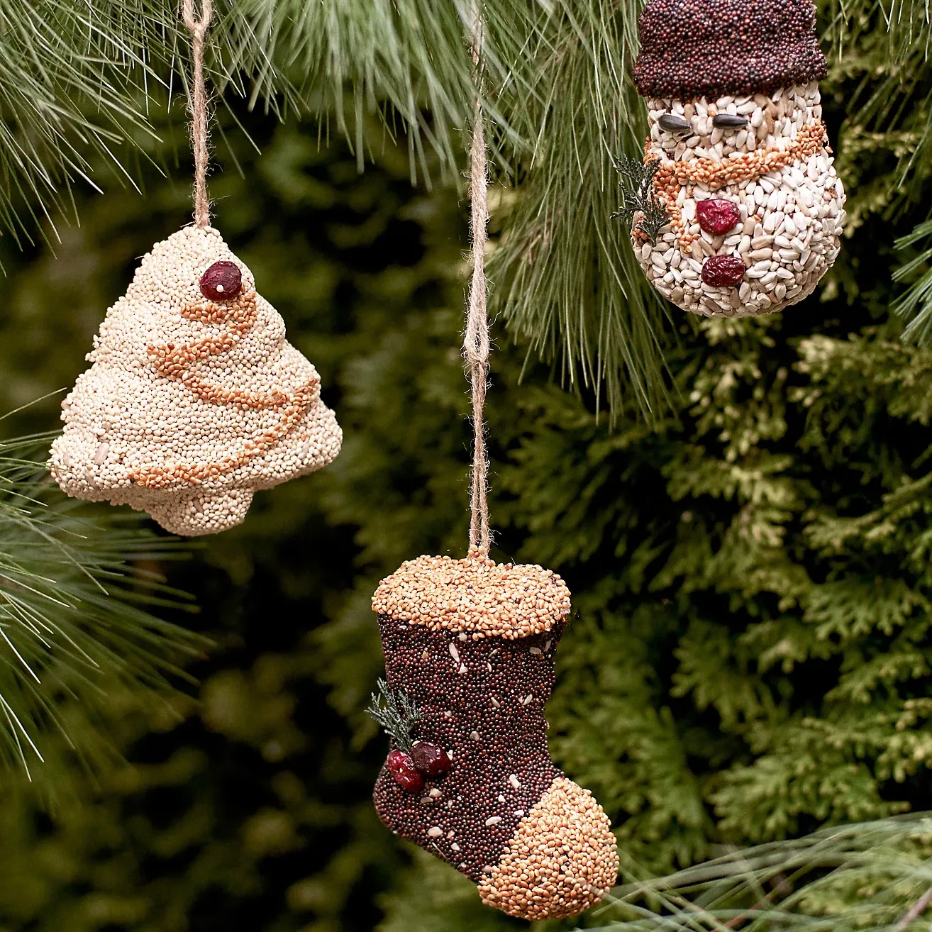 Bird Seed Festive Ornaments, Set of 3