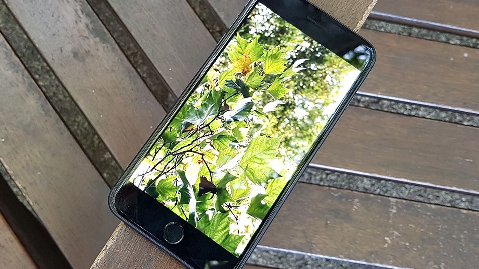 iphone 8 カメラ難有り WoQ8Q22dLetYPSbdQkAn6E.jpg