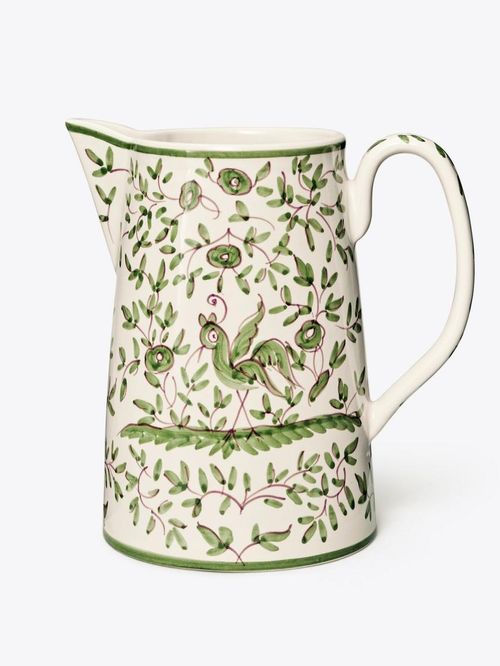 Oiseau Pitcher 