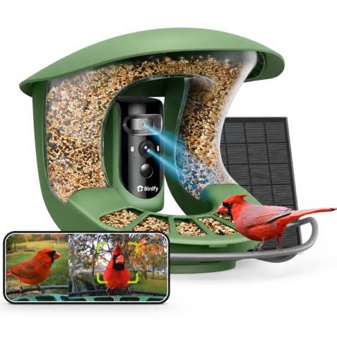 Birdfy 2 Pro Solar Smart Bird Feeder Camera, Dual-Lens 2k+1080p, Ai Bird Id