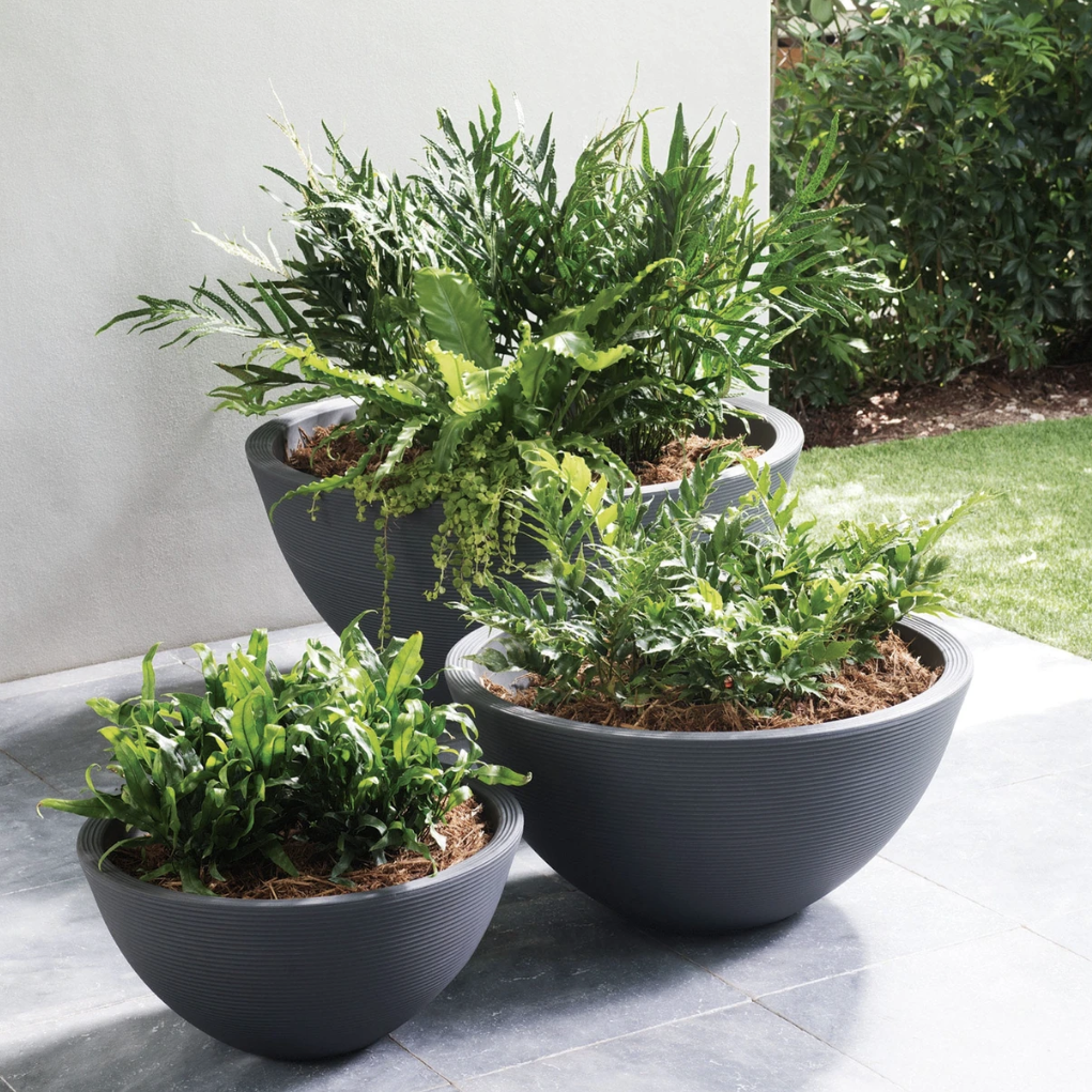 A set of three shallow planters in different sizes with green plants