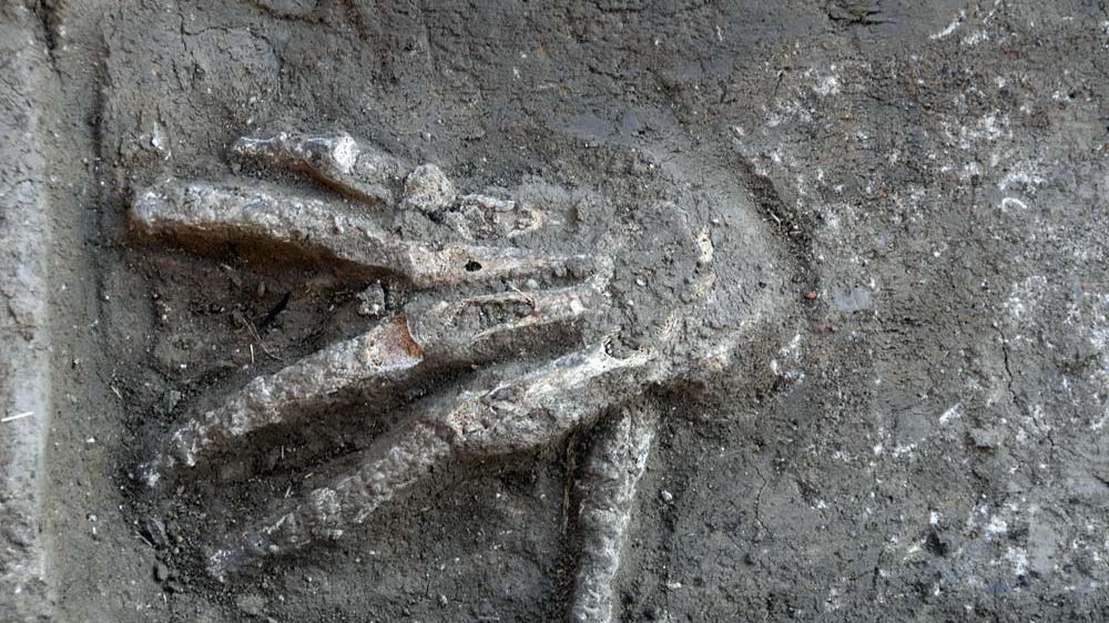 Severed Hands Discovered in Ancient Egypt Palace | Live Science