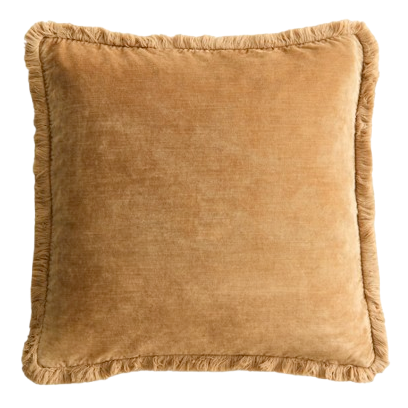 Fringed Velvet Cushion Cover