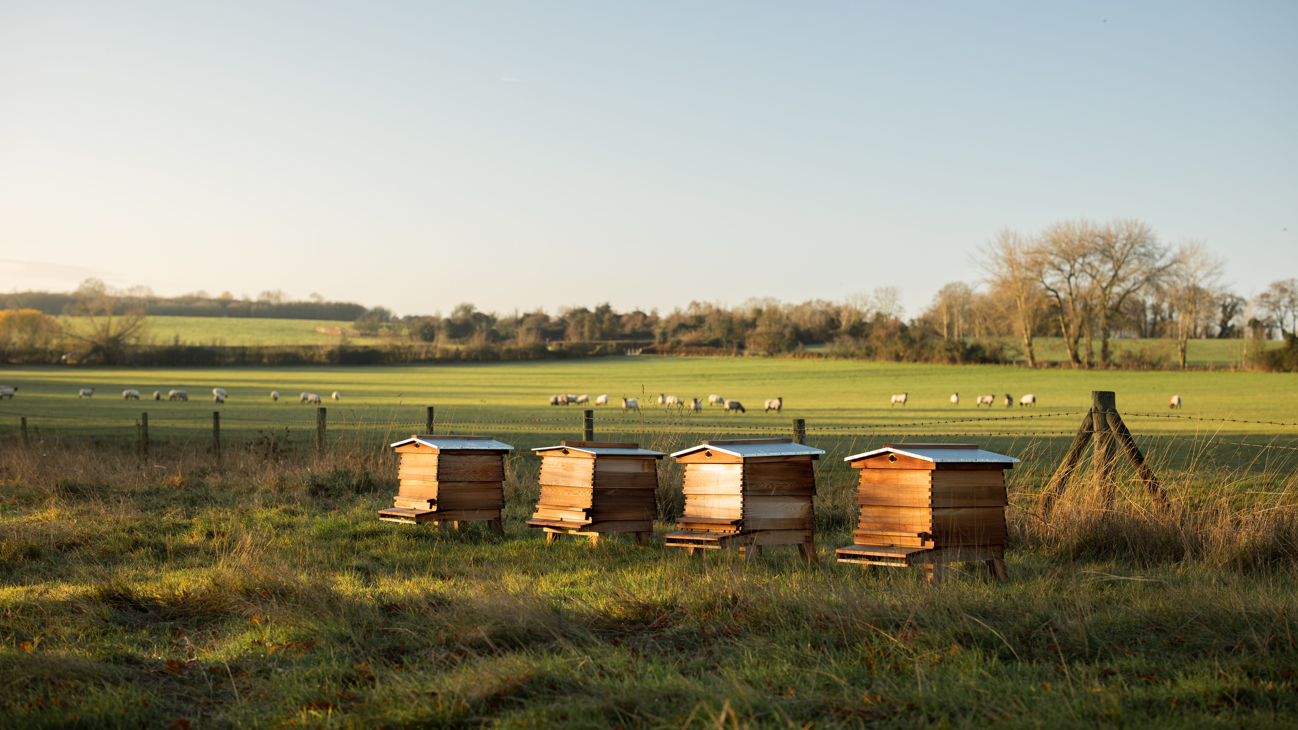 Everything you need for the perfect Cotswolds trip